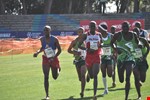 EPA CROSS COUNTRY CHAMPIONSHIPS NMMU 20110813