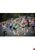 TGP_2012.jpg