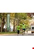 CK_120516_GreenDreamTeam_1130.jpg