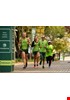 CK_120516_GreenDreamTeam_1212.jpg