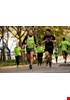 CK_120516_GreenDreamTeam_1231.jpg