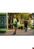 CK_120516_GreenDreamTeam_1243.jpg