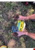 IMG-20201116-WA0001.jpg