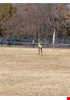 IMG-20210621-WA0019.jpg