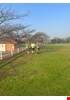 IMG-20220827-WA0011.jpg
