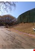 IMG-20221003-WA0011.jpg