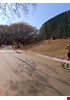 IMG-20221003-WA0015.jpg