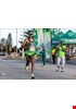 P18A4440.jpg