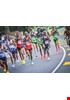 _TGP8003-Copy.jpg