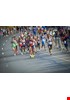 _TGP8100-Copy.jpg