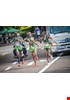 _TGP8510-Copy.jpg